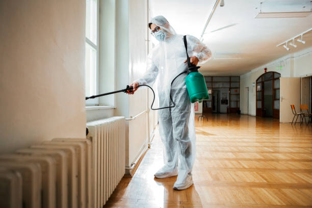 Wasp Removal Services in Ashland, VA